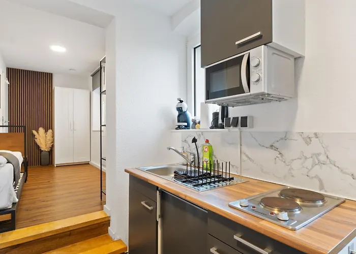 Appartement Modernes Am Rhein In Ruhiger Lage